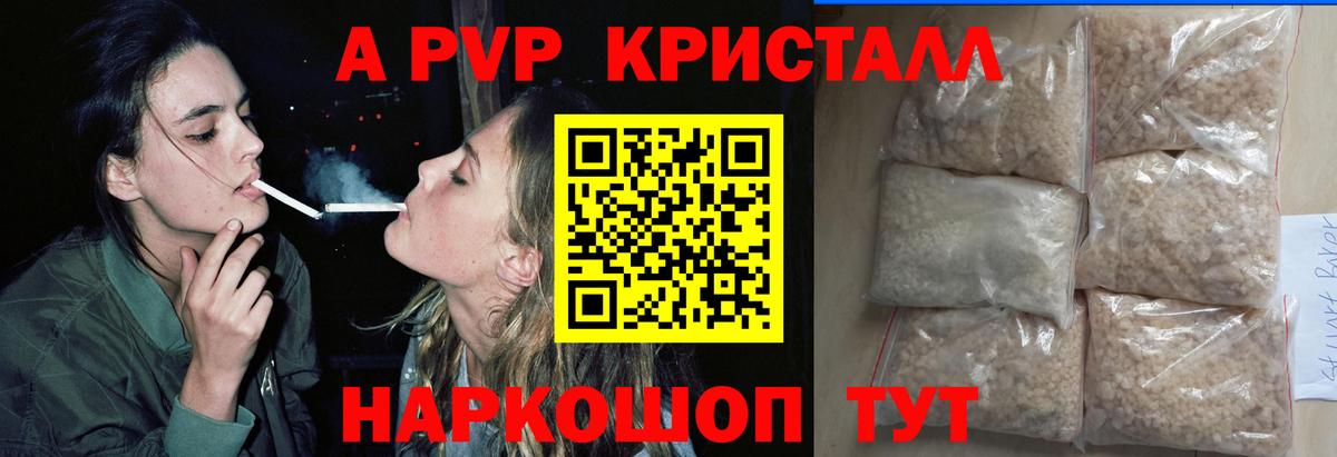 A PVP СК КРИС Новодвинск