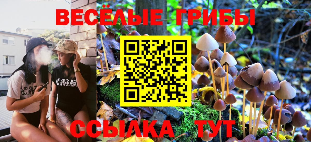 Псилоцибиновые грибы GOLDEN TEACHER  Псилоцибиновые грибы Psilocybe  Новодвинск  Вход с VPN 