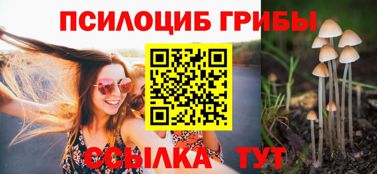 Галлюциногенные грибы мухоморы Новодвинск